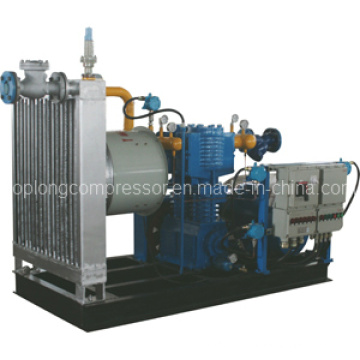 Compressor do GPL do compressor do GPL Compressor do LNG do nitrogênio do compressor (Zw-0.4 / 2-250)